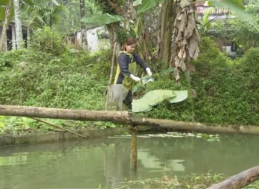 anh tin bai
